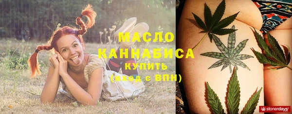 мдпв Пестово