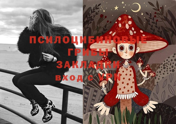 гидропоника Пересвет