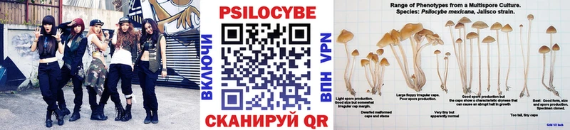 наркошоп  Алексеевка  Галлюциногенные грибы GOLDEN TEACHER 
