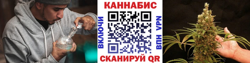 закладки  Алексеевка  Канабис сатива 